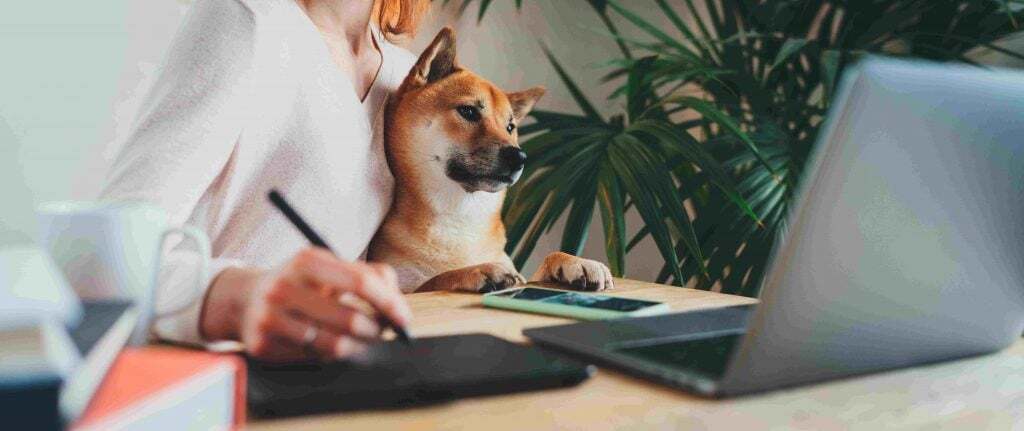 1631638798-dog-office-2