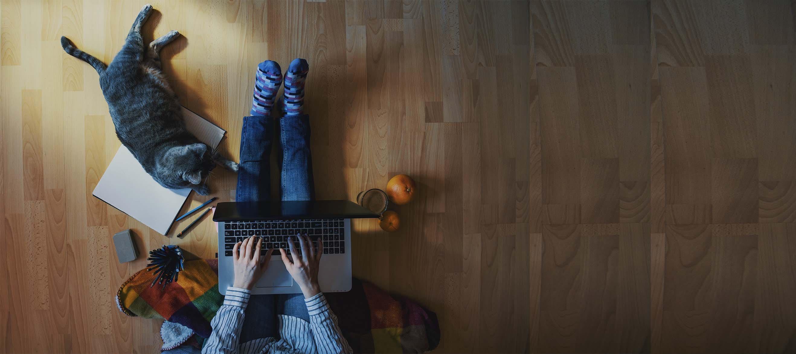 1641543809-home-working-cat-3